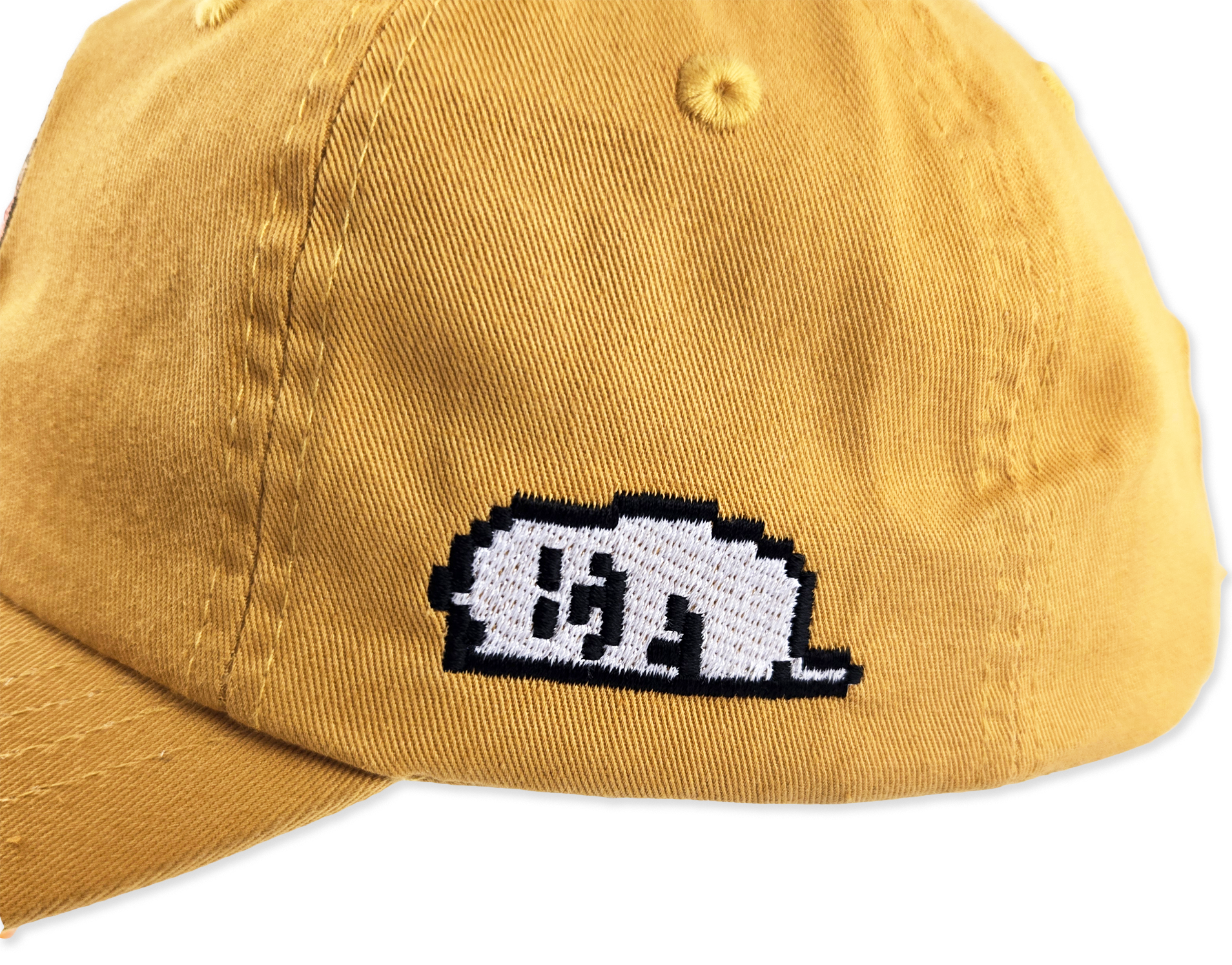 dog car cap